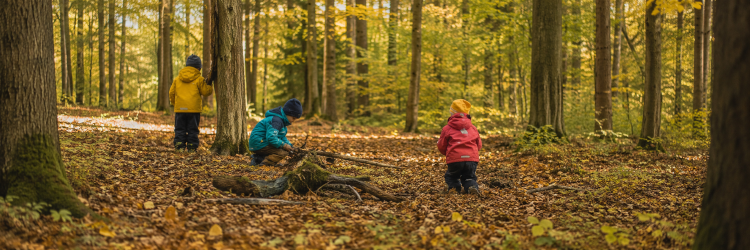 Waldkindergarten