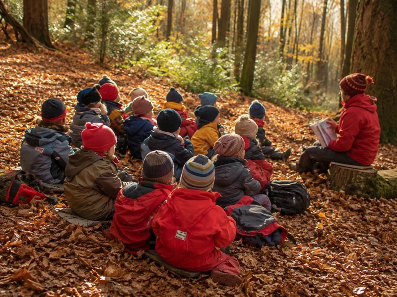 Ranunkel Waldkindergarten