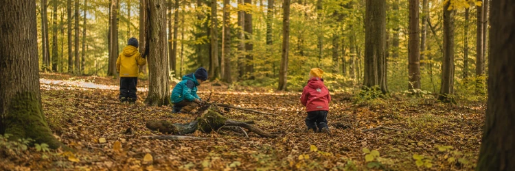 Waldkindergarten
